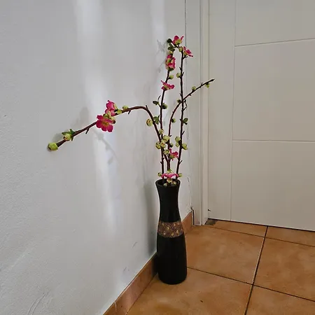 Apartamento Keka's - Centre